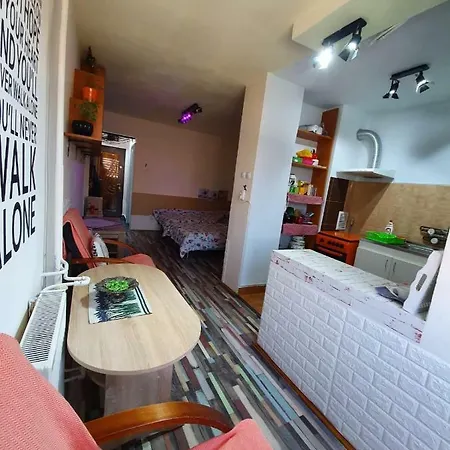 公寓 Apartament Ultracentral 克卢日-纳波卡