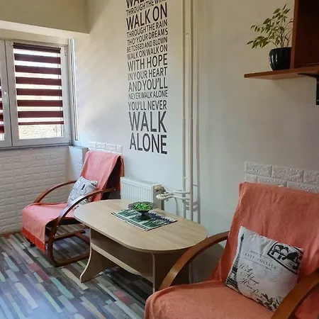公寓 Apartament Ultracentral 克卢日-纳波卡