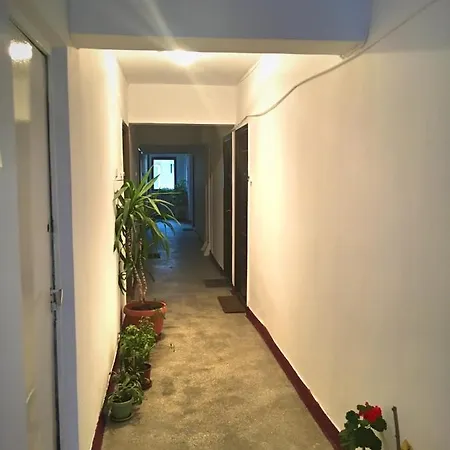 Apartament Ultracentral 公寓 *